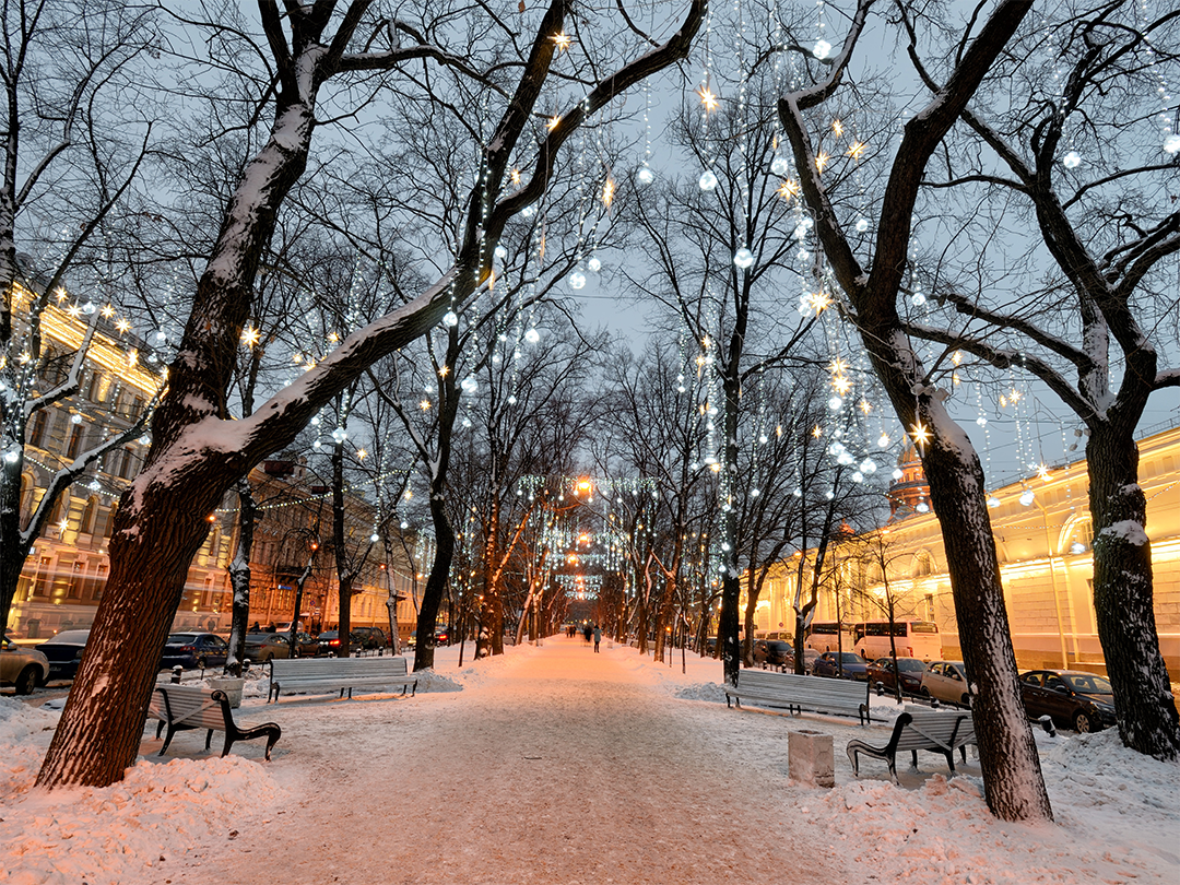 Park decorated for Christmas with lights dangling from trees.